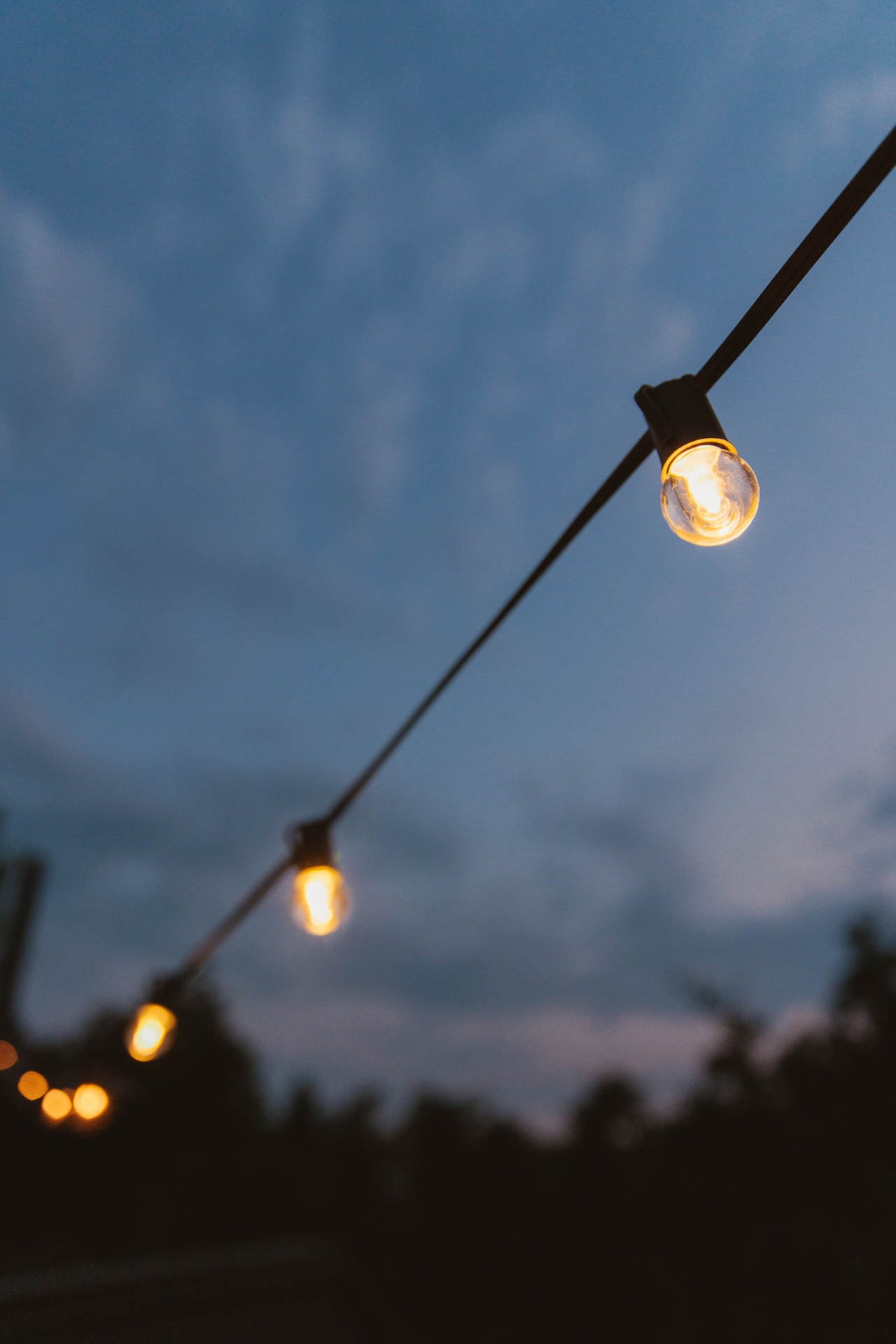 100ft Backyard Bundle - G30 Bulbs