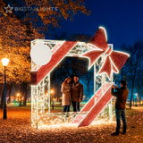 Selfie Station Sculpture