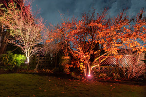 Chromaglow Pro RGBW Floodlight