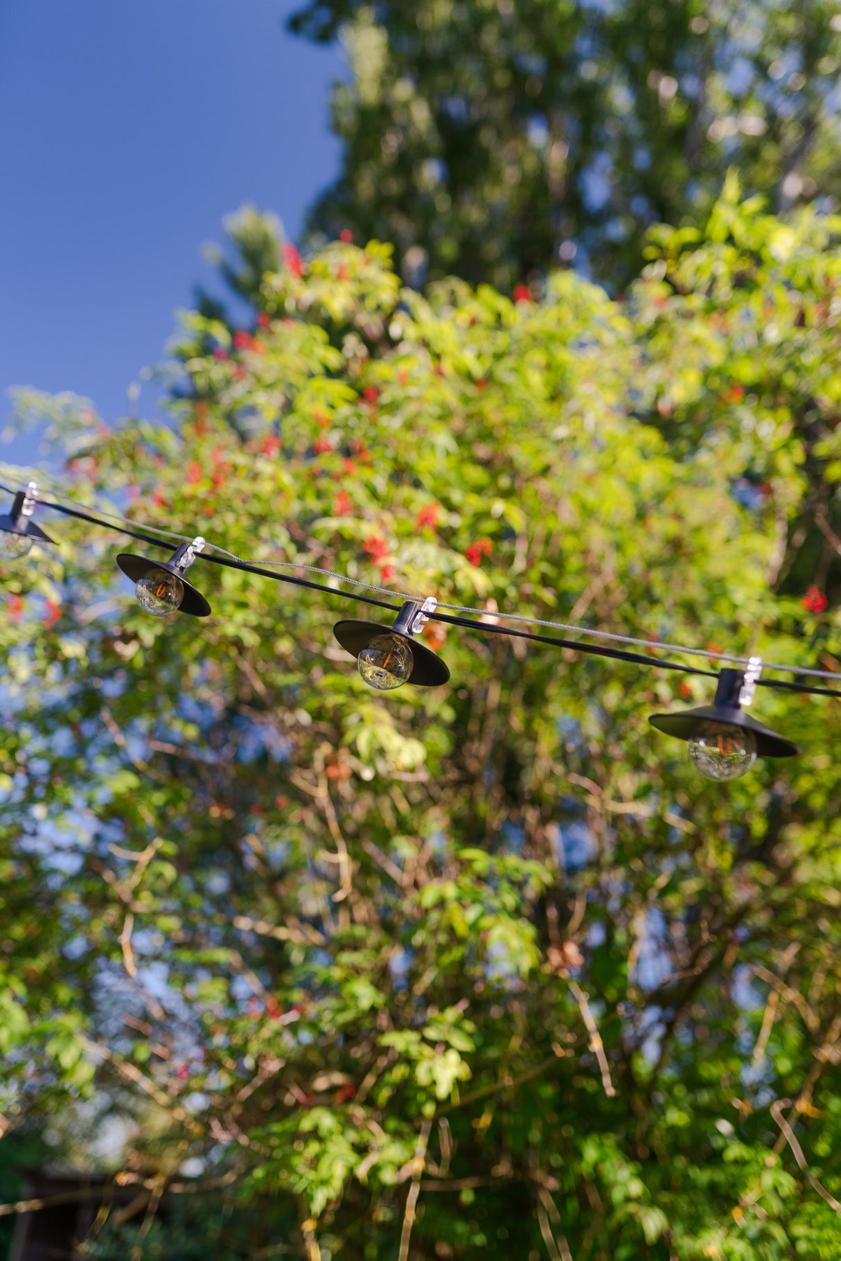 Wire Rope 1/8 in - Galvanized (1000 ft) – Big Star Lights