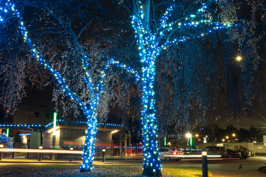 Themed Mini Lights - Frozen 2