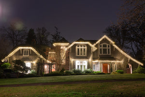 200ft Roofline Bundle - G30 Bulbs