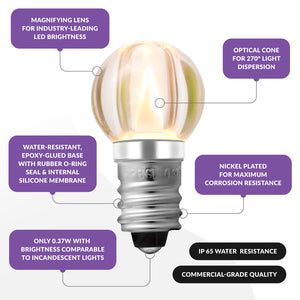 G20 Bulbs - Bulk