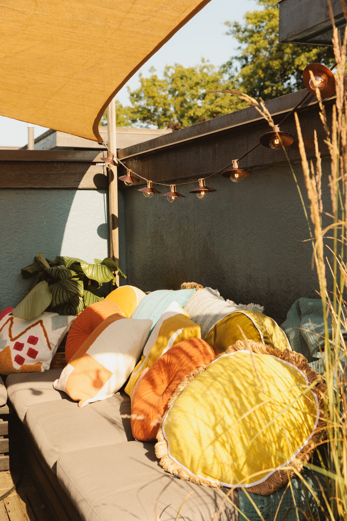 Patio Bundle (Bronze Wire + Shades)