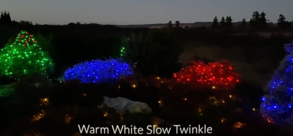 Slow-Twinkle Mini Lights - Green Wire